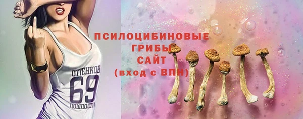 прущие грибы Коряжма