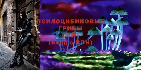 прущая мука Волоколамск